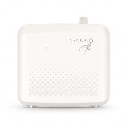 Cold Air Diffuser for Home & Office – Up to 1,000 sq ft | Vivaromas 3000C